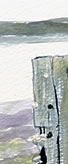 aquarelle