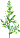 site Internet d'Armoise