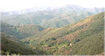 Vallée Borgne